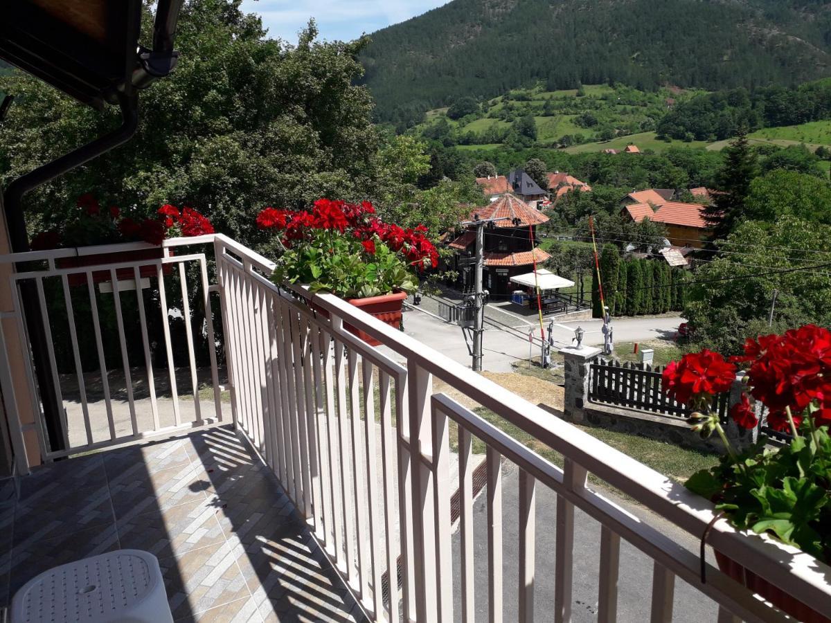 Apartmani Maksimovic Mokra Gora Buitenkant foto