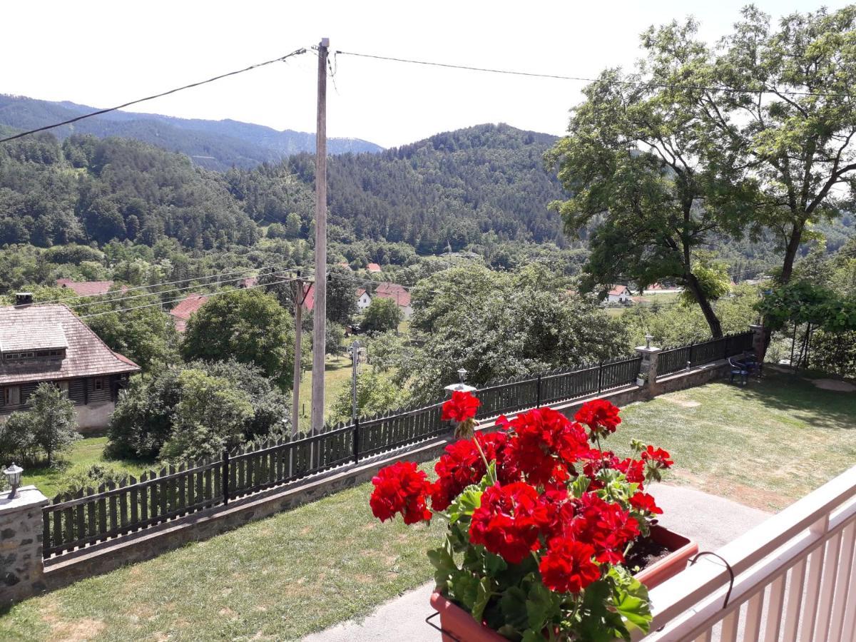 Apartmani Maksimovic Mokra Gora Buitenkant foto