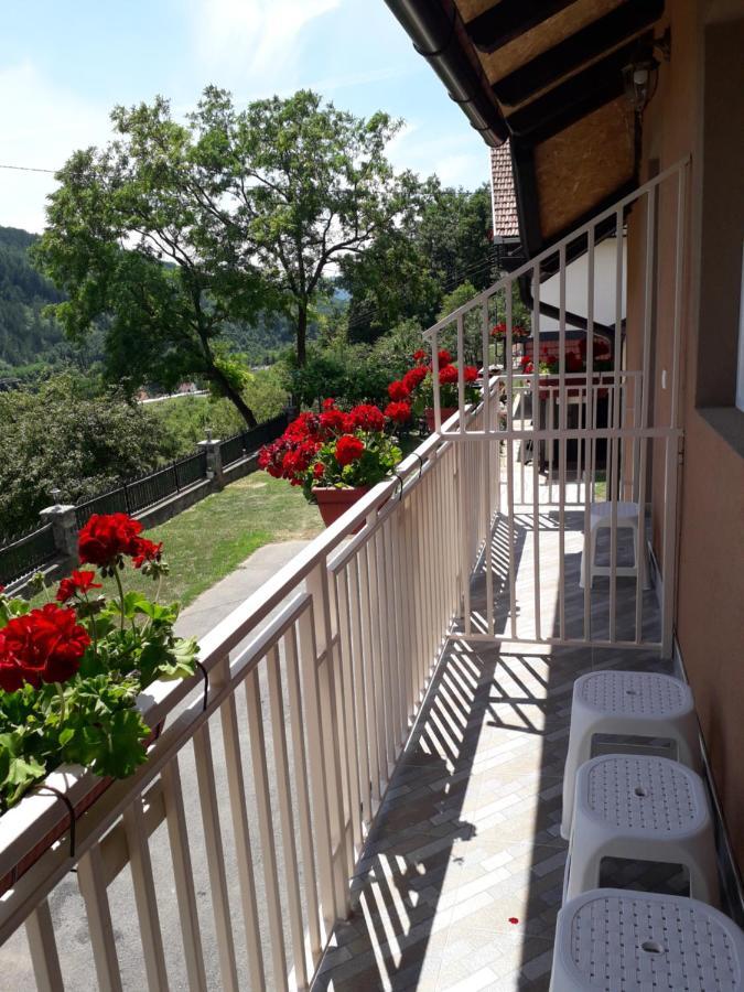 Apartmani Maksimovic Mokra Gora Buitenkant foto