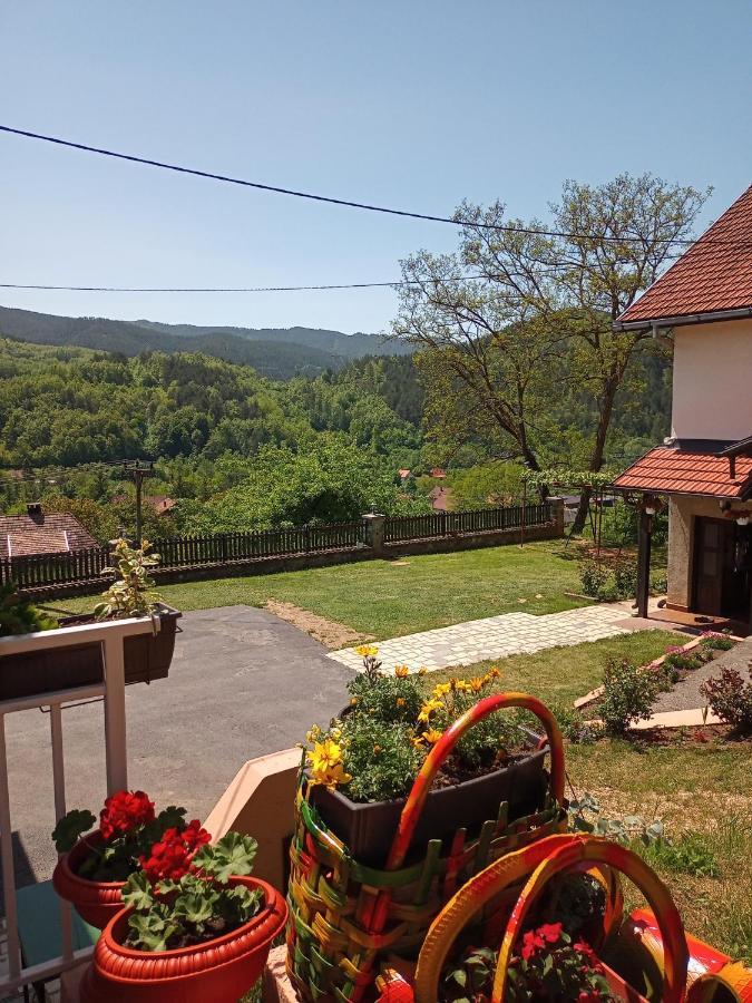 Apartmani Maksimovic Mokra Gora Buitenkant foto