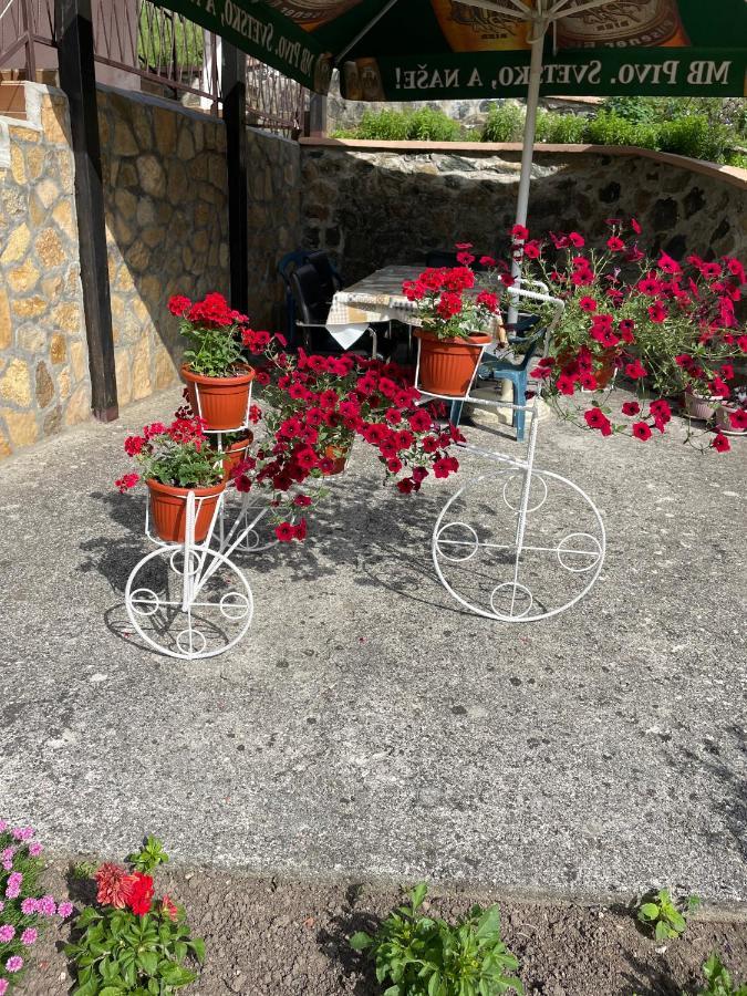 Apartmani Maksimovic Mokra Gora Buitenkant foto