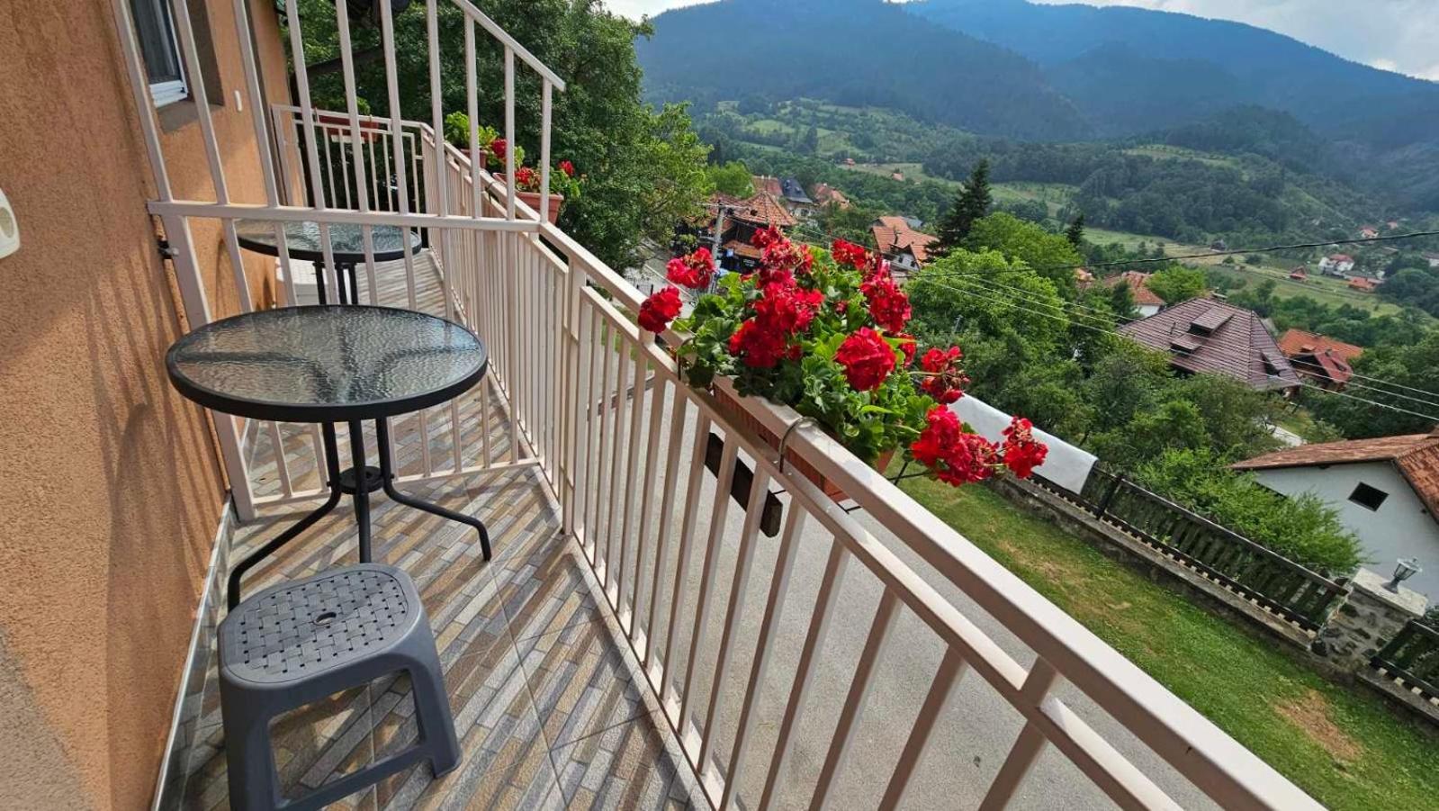 Apartmani Maksimovic Mokra Gora Buitenkant foto