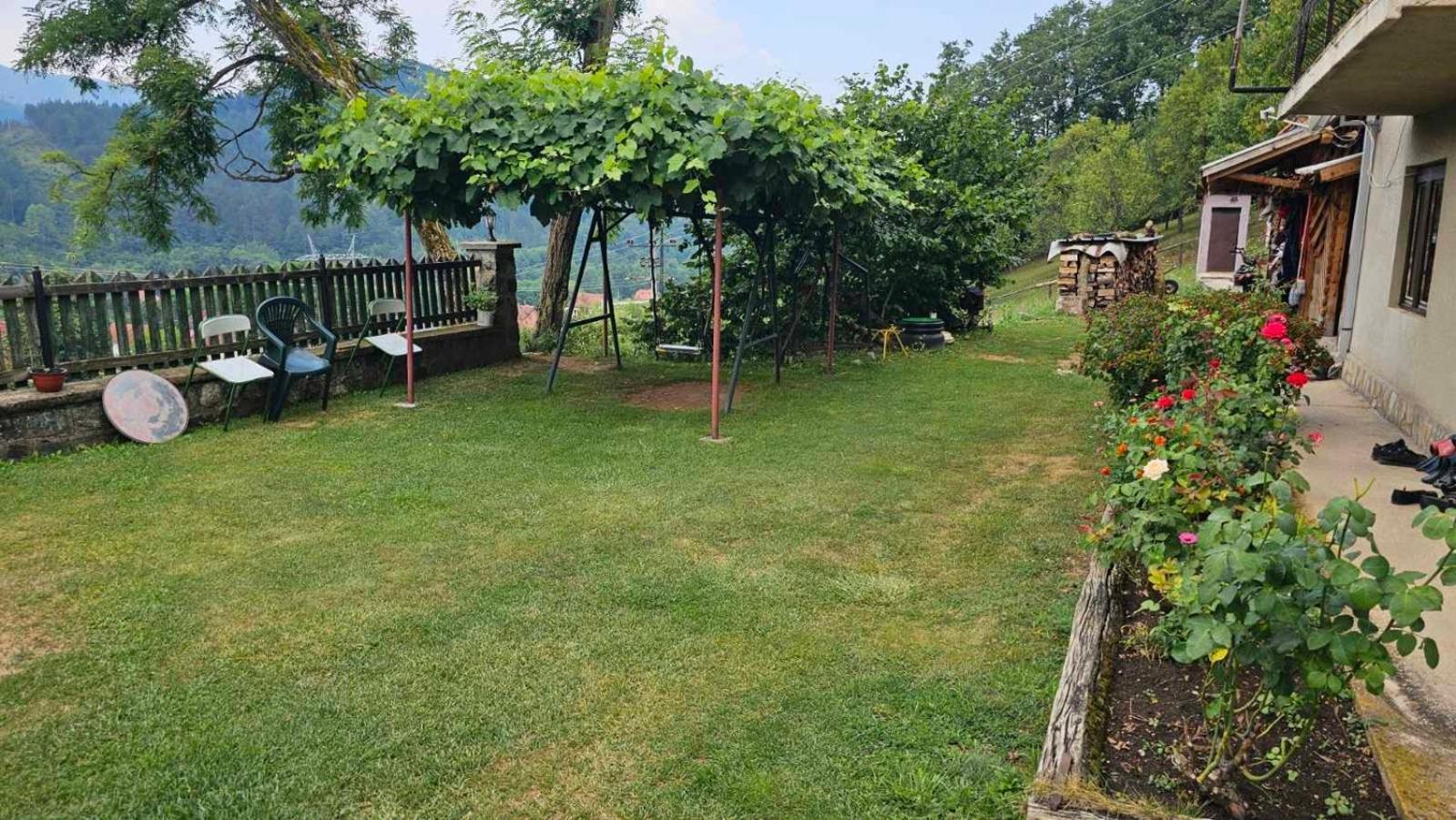 Apartmani Maksimovic Mokra Gora Buitenkant foto